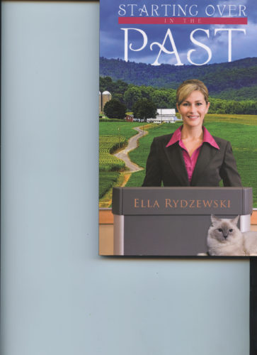 Juniata County is the setting for new novel